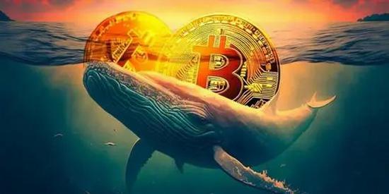 Ordicoin未来价格预测:价格能涨到多少钱一枚?