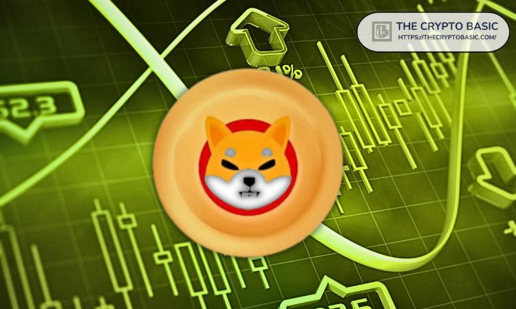 Challenging the Chihuahua Price Boost with a Weekly Chart Analysis of Bullish Trends