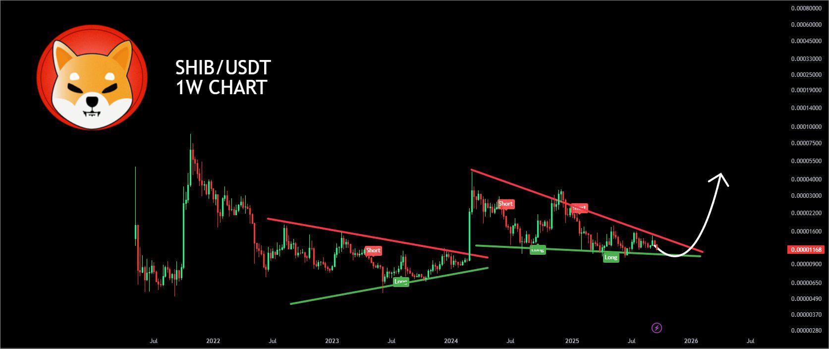 Challenging the Chihuahua Price Boost with a Weekly Chart Analysis of Bullish Trends