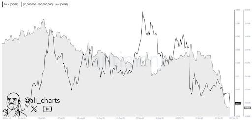 狗狗币交易量激增至 20 亿美元或许暗示看跌,具体原因如下